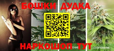 таблы Будённовск