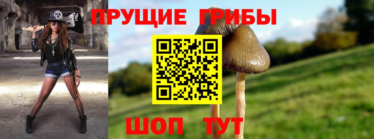 Галлюциногенные грибы мицелий  Вход с VPN  что такое наркотик  Новошахтинск 